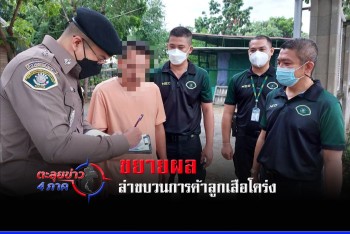 ขยายผลล่าขบวนการค้าลูกเสือโคร่ง
