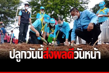 ปลูกป่าเฉลิมพระเกียรติ เนรมิตรถนนปางสวรรค์ มีพืชผัก-ผลไม้เพียบพร้อม 2 ฝั่งทาง