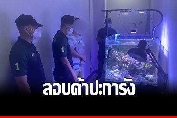ตำรวจ ปทส. ทลายแหล่งค้าปะการังออนไลน์กลางกรุง