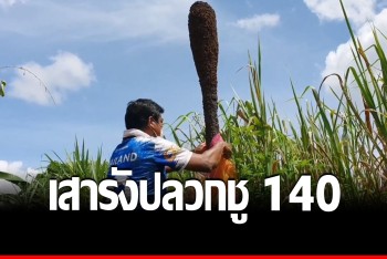 โค้งสุดท้าย นักเสี่ยงโชคลุ้นเลขเด็ด รังปลวกทรงเสากระบอง สุดแปลกตา