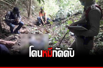 ญาติออกหานานข้ามวัน เจอศพลุงถูกหมีกัด สิ้นชีพกลางป่า