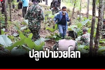 อบต.ปางหมู รักษ์น้ำ รักษ์ป่า ปลูกต้นไม้ ซ่อมฝายชะลอน้ำ