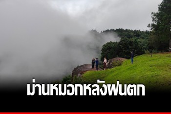 ม่านหมอกหลังฝนตก ความสวยงามบนโครงการพระราชดำริฯภูหินร่องกล้า