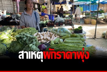 น้ำมันแพง-น้ำท่วมกระทบผู้บริโภค ผักราคาพุ่งสูงเกือบทุกชนิด
