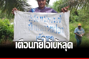 ผวา! ไอ้เข้หลุดหนองน้ำ ติดป้ายเตือนคนหาปลา ระวังโดนงาบ