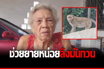 ยายโอดชีวิตบั้นปลาย โดนลิงก่อกวน นอนไม่เคยหลับเลยสักคืน