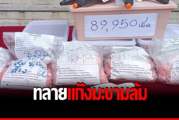 รวบ &quot;แก๊งมะขามล้ม&quot; สกัดยานรกเฉียดแสนเม็ดก่อนกระจายสู่นักเสพ