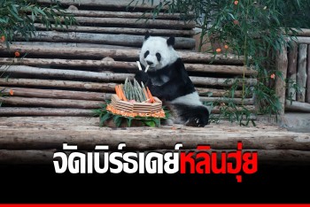 สวนสัตว์เชียงใหม่ฉลอง &quot;หลินฮุ่ย&quot; อายุ 21 ปี หมีแพนด้าทูตสันถวไมตรีไทย-จีน