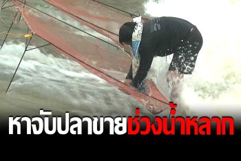 ชาวนาทำอาชีพเสริม ออกหาจับปลาขายเลี้ยงปากท้องยามน้ำหลาก