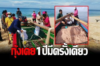 วิถีชุมชนคนริมหาด ออกจับกุ้งเคยกลางทะเลอันดามัน แปรูปกะปิขึ้นชื่อ​ของใต้
