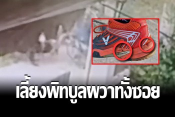 เดือดร้อนทั้งซอย 4 พิทบูลเดินเล่น ไล่กัดคนไปทั่ว เจ้าของไม่สนใจ