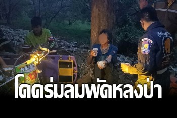 ตามหาตัววุ่น หนุ่มญี่ปุ่นร่อนร่มลงภูทับเบิก โดยลมพัดเข้าป่าลึก
