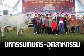 สุพรรณฯ จัดมหกรรมเกษตร–อุตสาหกรรม เสริมศักยภาพผู้เลี้ยงโค-แพะ