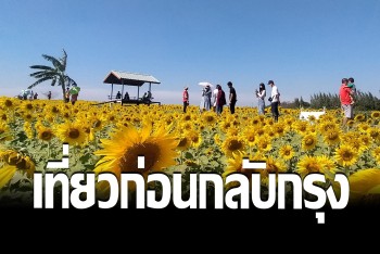 คนกลับกรุงเทพจอดพักรถ แวะเที่ยว &quot;เป๋าตุงฟาร์ม&quot; ก่อนเริ่มทำงาน