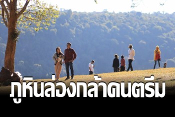 วันหยุดส่งท้ายก่อนทำงาน คนตรึมแห่เที่ยวธรรมชาติ &quot;ภูหินร่องกล้า&quot;
